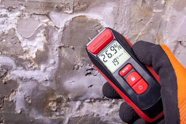 Best Same-Day Mold Removal  in Oxoboxo River, CT