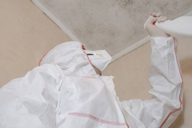 Best Office Mold Removal Services  in Oxoboxo River, CT