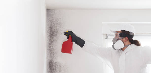 Best Mold Cleaning Services  in Oxoboxo River, CT