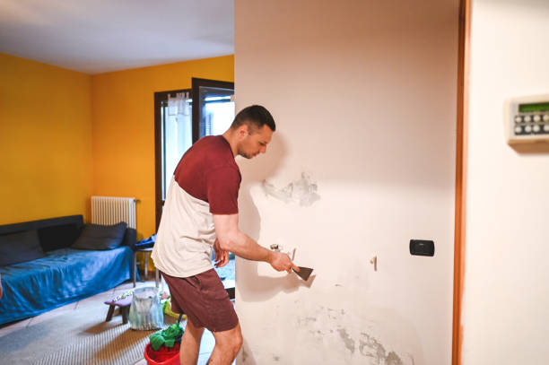 Best Residential Mold Removal  in Oxoboxo River, CT
