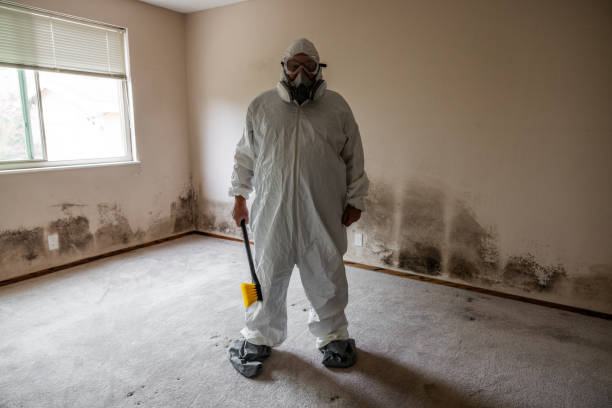 Oxoboxo River, CT Mold Removal Company