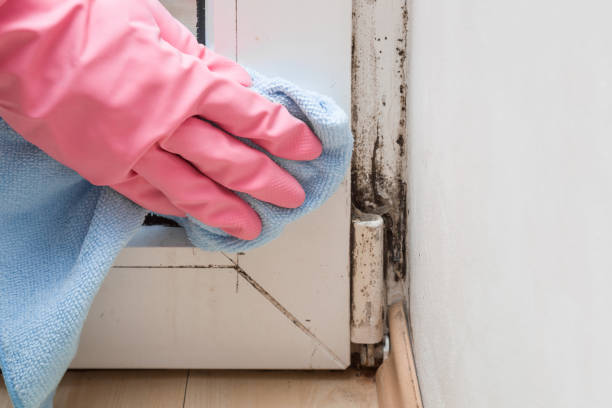 Best Crawl Space Mold Removal  in Oxoboxo River, CT